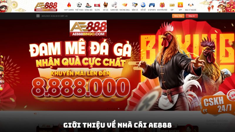 Giới thiệu về nhà cái ae888